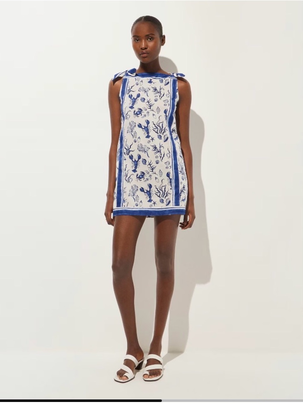 NWT J. Crew Sadie beach dress/cover up
